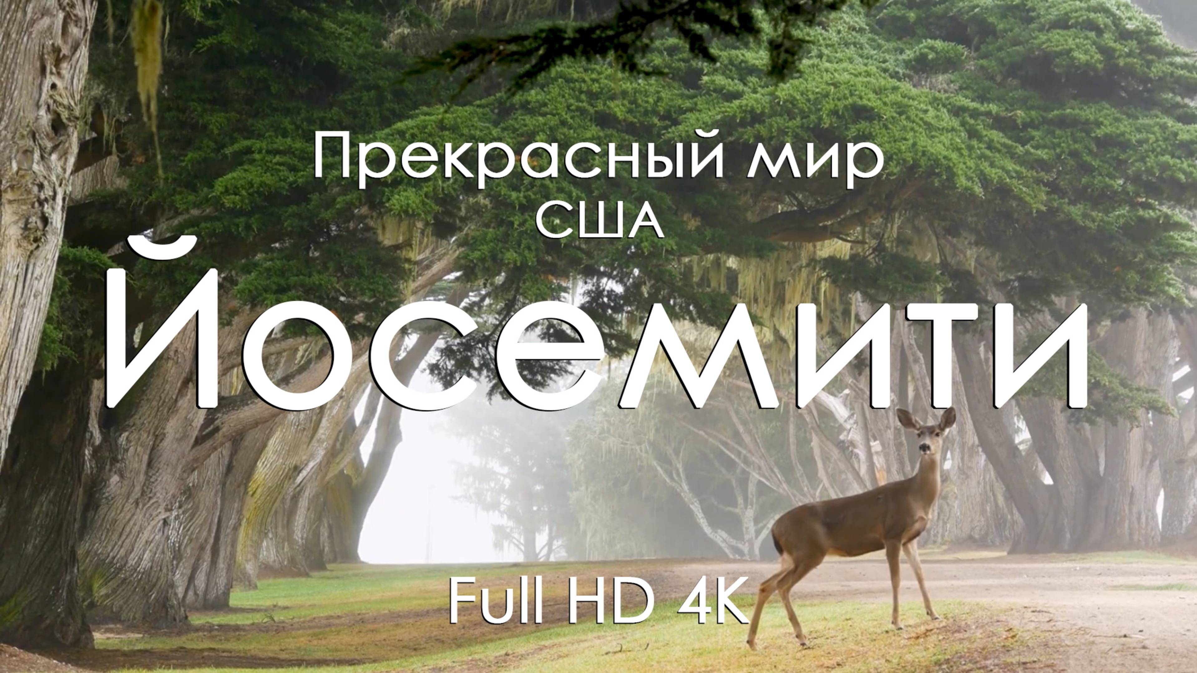 Йосемити США 4K Full HD| Национальный парк и музыка фортепиано | Видео для релакса и вдохновения