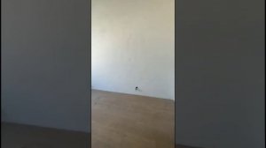 Краснодар продажа 3 к кв ЖК Красная площадь.mp4