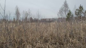 22 СНТ Нажжда Тюмень