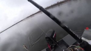 Рыбалка на Оке