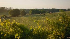 Сожалею о тебе (2025) . Драма . США , Германия . Трейлер