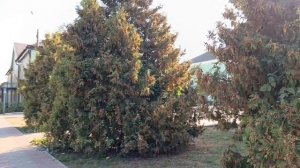 #путешествие по городу кирова