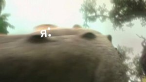 ну а что
