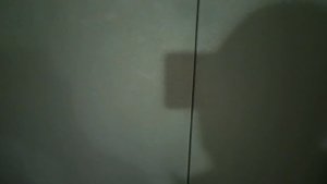 Лифт ЩЛЗ 2008 г