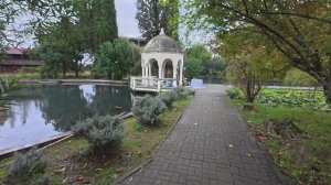 Новый Афон прогулка сегодня 24.10.