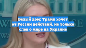 Белый дом: Трамп хочет от России действий, не только слов о мире на Украине