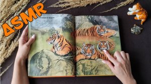 #32 Полосатый АСМР :) | Поговорим о ТИГРАХ | Близкий шепот | ASMR