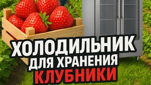 новый холодильник