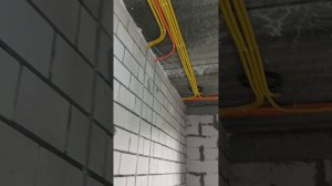 1000061690.mp4