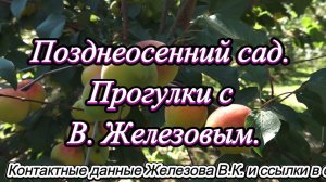 Позднеосенний сад. Прогулки с В. Железовым.