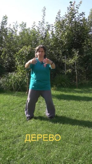 "Чжан Чжуан", или "Дерево"