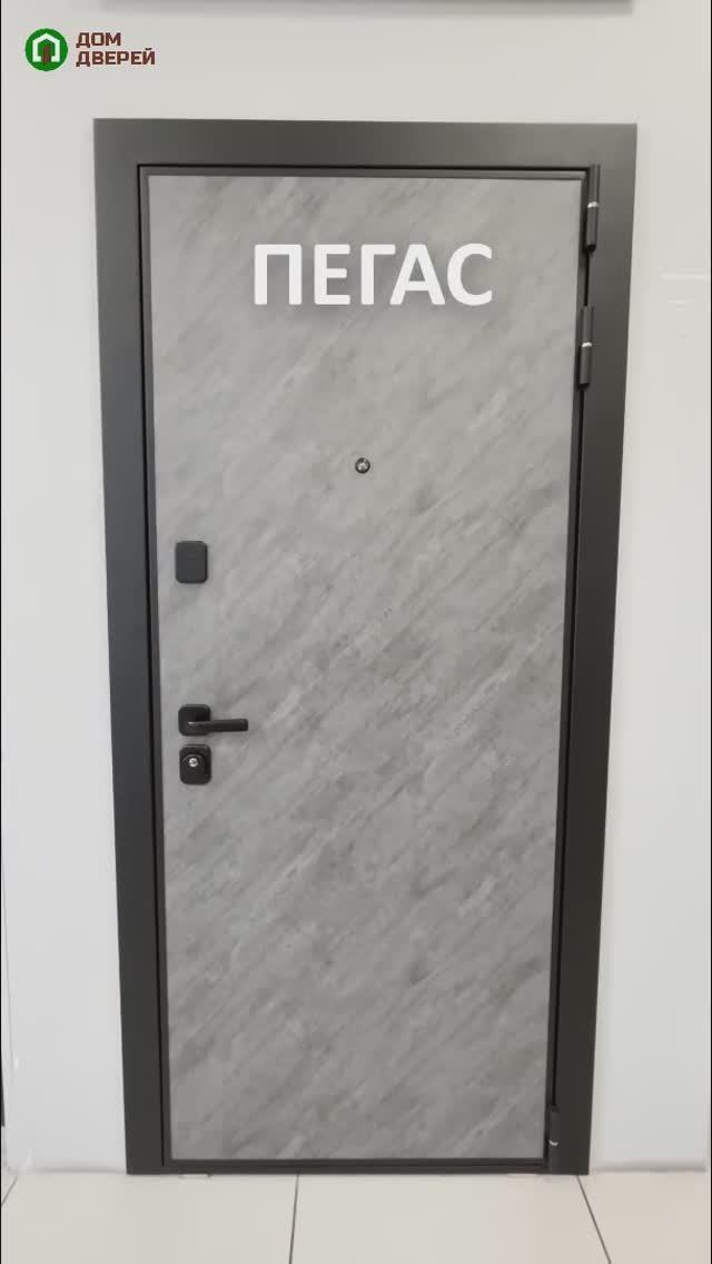 Входная дверь Пегас смотреть онлайн