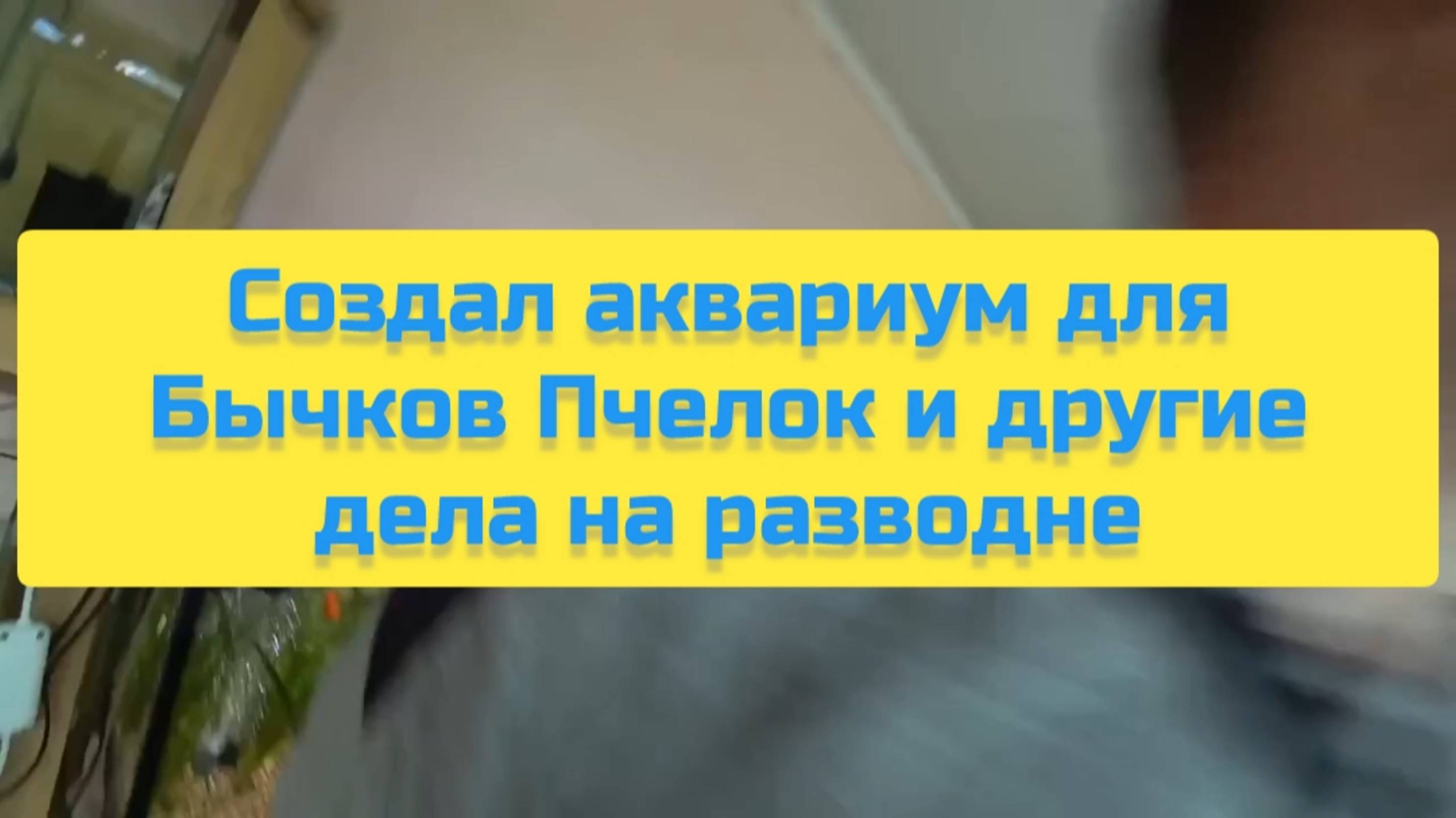 СОЗДАЛ АКВАРИУМ ДЛЯ БЫЧКОВ ПЧЁЛОК И ДРУГИЕ ДЕЛА НА РАЗВОДНЕ смотреть онлайн