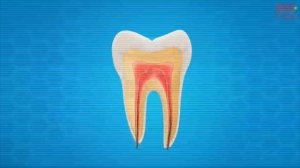 почему нельзя есть много сладкого видеомультик