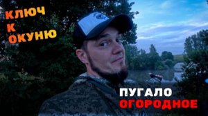 Вторая забродка. Утро и ScareCraw