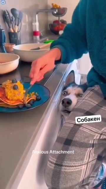 Хочу!!!