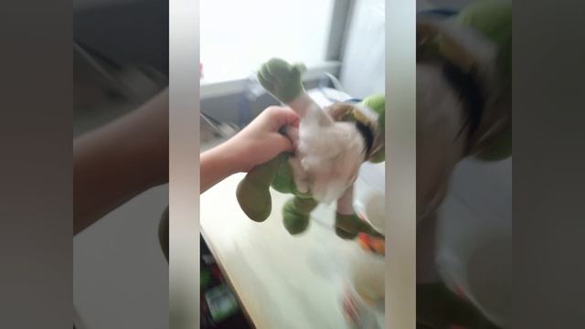 СКУЛБОЙ АКТ 3. МАНЬЯК ПРЕСЛЕДУЕТ МЕНЯ В РЕАЛЬНОЙ ЖИЗНИ! (СЕРИЯ 4)