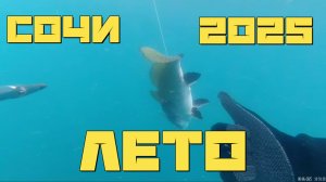 Подводная охота в Черном море. Сочи Лазаревский район ЛЕТО 2025