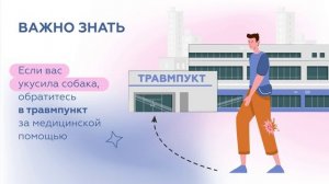 Что делать, если укусила собака?