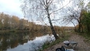 Рыбалка на фидер осенью
