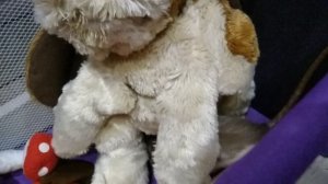 ухаживаит за малышом Бобби  ухаживает крысюнок  пик