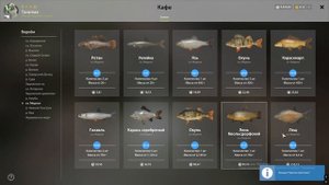 Russian Fishing 4 РР4 МЕДНОЕ ФАРМ! ПОНИЖЕННАЯ!