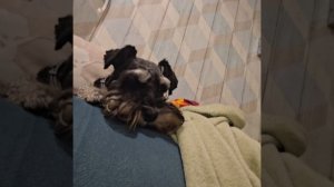 намного лучше