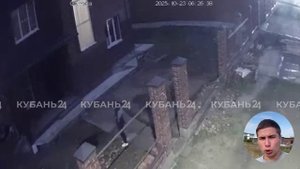 В Краснодаре житель СНТ открыл стрельбу по бездомным собакам