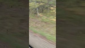 Поездка на автобусе НефАЗ 5299-17-32 из Хадыженск в Краснодар N° 604 через Апшеронск прибыль АС.mp4