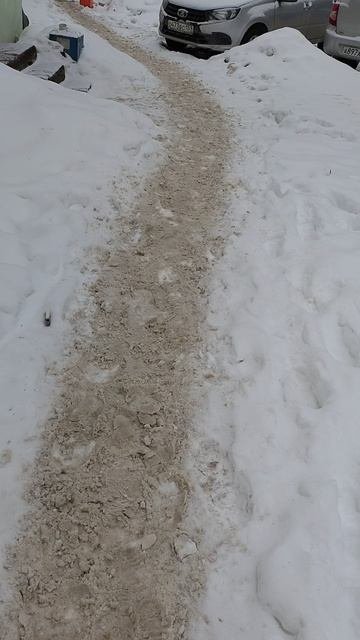 №174. Двор Сибирская 73. 28 февраля 2025 г., 14:47:35. VID_20250228_144637521