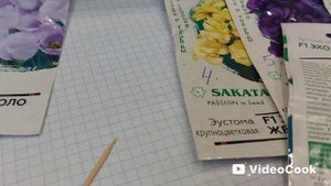 Наши 8,4 сотки🏡Сегодня сею эустому🌸🌼🌸А вы любите этот цветок?