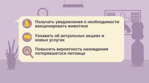 Всё о регистрации домашних питомцев