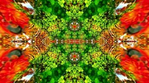 Футажи! Футаж Осенняя волшебная сказка 10! Осеннее волшебство!