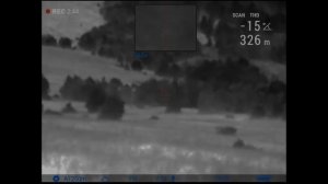 СТАЯ ВОЛКОВ-ВСТРЕЧА