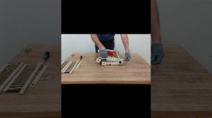 petal_20251024_160254.mp4