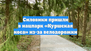 Силовики пришли в нацпарк «Куршская коса» из-за велодорожки