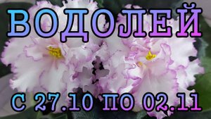 ВОДОЛЕЙ таро прогноз на неделю с 27 ОКТЯБРЯ по 2 НОЯБРЯ 2025 года.