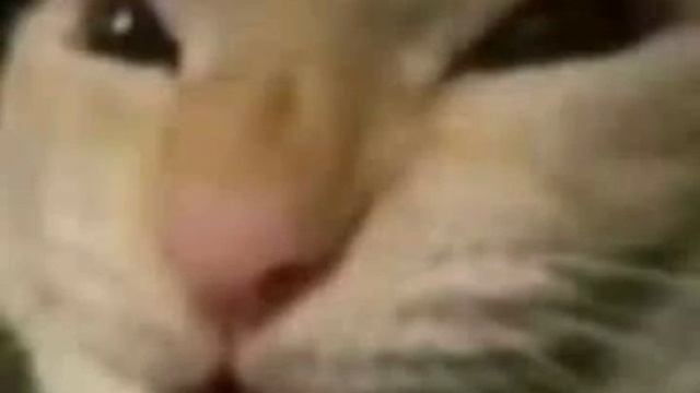 Мухехехе смотреть онлайн