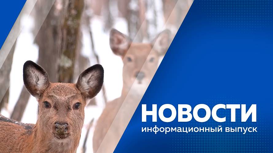 НОВОСТИ 23.10.25