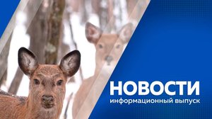 НОВОСТИ 23.10.25