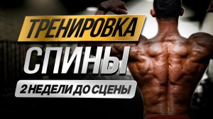 2 недели до Сцены. Тренировка СПИНЫ!