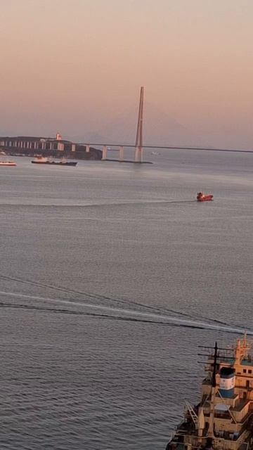 Красавец «Надежда» на рейде Владивостока: смотрите, пока не уплыл смотреть онлайн