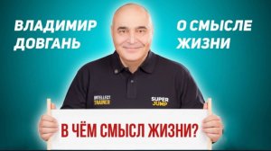 В чём смысл жизни?/Владимир Довгань