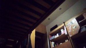 влог 24 октября 🍁🍂🌧️💦☁️