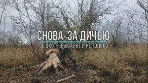 Снова за дичью .