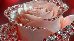 НОВАЯ ИСТОРИЯ