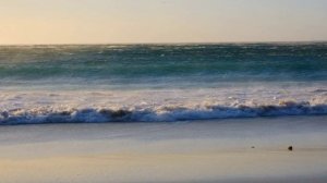 Михаил Солдатов - Я безнадёжно болен