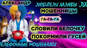 🚗 АЛЕКСАНДР. БЕЛКА, ГУСИ И КУ-КУ | ТЕЛЕФОННЫЕ МОШЕННИКИ