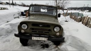 U-A-ZИК! ДИЧИ - ПОЛНЫЕ ШТАНЫ!