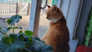 Нюрочка наша.